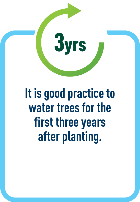 Arboricultural Association Watering Young Trees